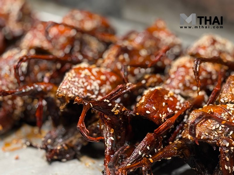 นกกระทา