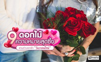 9 ดอกไม้ ความหมายสุดซึ้ง แทนคำบอกรัก “วันวาเลนไทน์”