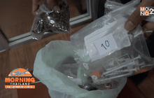 จับฝรั่งหัวใส แอบปลูกกัญชาขายในบ้าน