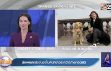 น้องหมาแย่งซีนชิงไมค์นักข่าวระหว่างถ่ายทอดสด