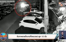 จับภาพชายใจบาปทิ้งแมวแม่-ลูก 12 ตัว