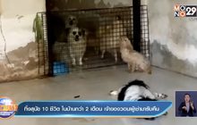 ทิ้งสุนัข 10 ชีวิต ในบ้านกว่า 2 เดือน เจ้าของวอนผู้เช่ามารับคืน