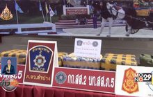 ยึดยานรก 1 ล้านเม็ด เครือข่ายภาคเหนือ