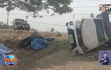 กระบะพลิกคว่ำ ซากจระเข้ 80 ตัว เกลื่อนถนน