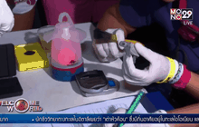 ภาวะโลกร้อนกระทบเต่าหัวค้อน