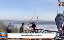 นักท่องเที่ยวเที่ยวท้าลมหนาว