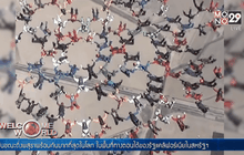 ดิ่งพสุธาพร้อมกันมากที่สุดในโลก