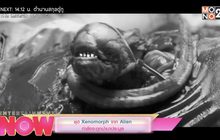 ชุด Xenomorph จาก Alien กำลังจะถูกนำมาประมูล