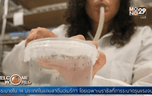 ข้อเท็จจริงเบื้องหลังไวรัสซิก้า