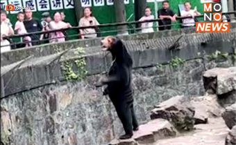 สวนสัตว์จีนโต้ข่าวลือหลังต้องถูกสงสัยเอาคนไปใส่ชุดหมี