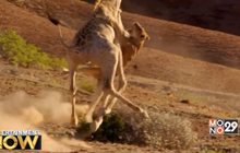 Planet Earth II เผยสาเหตุที่ต้องรอคอยภาคต่อถึง 11 ปี
