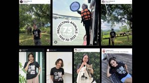 ดารา-คนดัง รวมพลังร่วมส่งเสียงแทนสัตว์ไร้เสียง ฉลอง 75 ปี World Animal Protection ในแคมเปญ “Don’t Forget Them”
