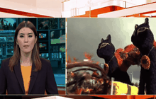 ขบวนพาเหรดดอกไม้ในเนเธอร์แลนด์