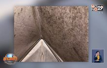 โซเชียลแชร์”นอนเต็นท์”เจอเชื้อราดำทั้งหลัง