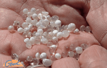 ชาวบ้านแตกตื่น! แห่ขุดหาหินใสเชื่อเป็นพระธาตุ