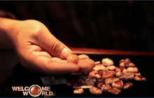 โอปอล-อัญมณีมีค่าของเม็กซิโก