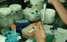 การแปลงยีนในไวรัสเพื่อพิชิตโรคมะเร็ง