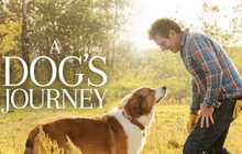 A Dog’s Journey หมา เป้าหมาย และเด็กชายของผม 2