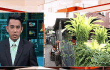 โครงการบ้านสีขาว ปลอดยาเสพติด