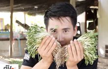 เจษฎาพาลุย : ตามหา “ผักกระชับ” ของดีบ้านทะเลน้อย จ.ระยอง