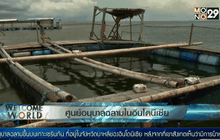 ศูนย์อนุบาลฉลามในอินโดนีเซีย