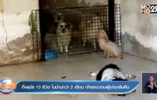 ทิ้งสุนัข 10 ชีวิต ในบ้านกว่า 2 เดือน เจ้าของวอนผู้เช่ามารับคืน