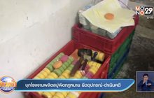 บุกโรงงานผลิตสบู่ผิดกฎหมาย ยึดอุปกรณ์-ดำเนินคดี