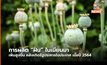การผลิตฝิ่นในเมียนมาเพิ่มสูงขึ้น หลังเกิดรัฐประหารใน พ.ศ 2564