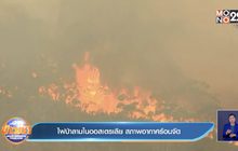 ไฟป่าลามในออสเตรเลีย สภาพอากาศร้อนจัด