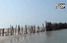 คลื่นกัดเซาะชายหาด จ.ตราด