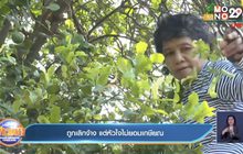 ถูกเลิกจ้าง แต่หัวใจไม่ยอมเกษียณ