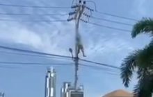 ลุงเครียดปีนเสาไฟฟ้าประท้วงรัฐบาลไม่ได้เงิน 5 พัน