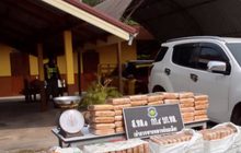 ยึดกัญชาน้ำหนักเกือบ 400 กิโลกรัม