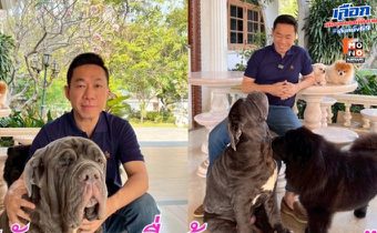 ไอเดียสุดเจ๋ง “เอกสิทธิ์ ปวงชนไทย” ผุด นโยบาย “บัตรทองเพื่อน้องหมาแมว” ลั่น ทำได้ทันที