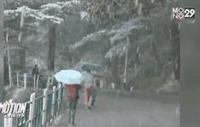 นักท่องเที่ยวแห่ชมหิมะตกในอินเดีย