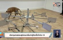 อังกฤษทดสอบสุนัขดมกลิ่นหาผู้ติดเชื้อโควิด-19
