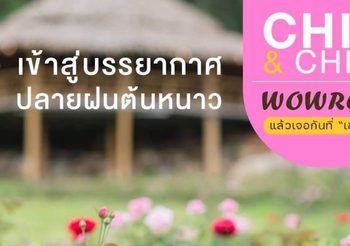 อลังการสวนกุหลาบ ที่สุดแห่งความชิคชิลล์ ที่เขาใหญ่ ต้องรีบมา Wowrose Garden Khaoyai