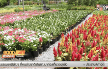 ตลาดไม้ดอกไม้ประดับซบเซา