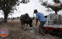 แล้งจัดกระทบผู้เลี้ยงสัตว์-สวนผลไม้