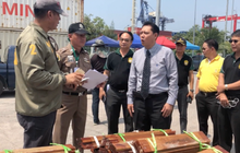 ศุลกากรท่าเรือแหลมฉบังจับไม้ประดู่สำแดงเท็จ