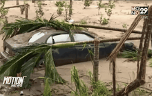 ปฏิบัติการทำความสะอาดในไต้หวัน