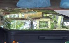 ขยายผลจับกุมเครือข่ายค้ายาไอซ์ 200 กิโลกรัม