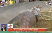 ประชาชนแห่เข้าชมสวนสัตว์ดุสิต วันสุดท้าย