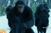“Planet of the Apes” ขึ้นอันดับ 1 ใน Box Office