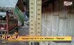 กรมอุตุฯ คาด 8-11 ม.ค. เหนือหนาว – ใต้ฝนตก