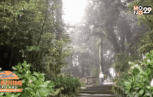 ดอยอินทนนท์พร้อมเปิดเส้นทางศึกษาธรรมชาติ 1 พ.ย.