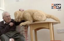 หุ่นยนต์สุนัขบำบัดคนแก่