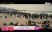 Dunkirk ดันเคิร์ก หนังสงครามที่สร้างมาจากเรื่องจริง