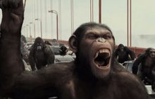 MONO29 จัดแพ็ค “Kingdom of the Apes” 4 วัน 4 ภาค