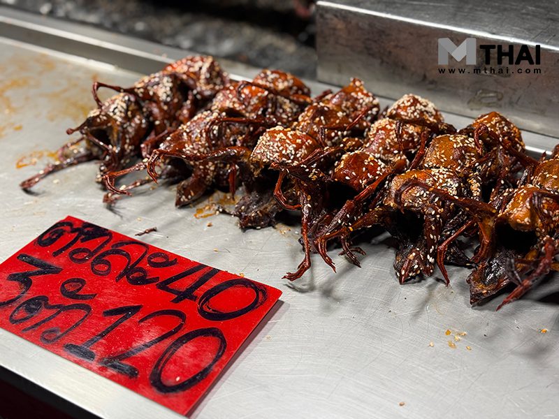 นกกระทา